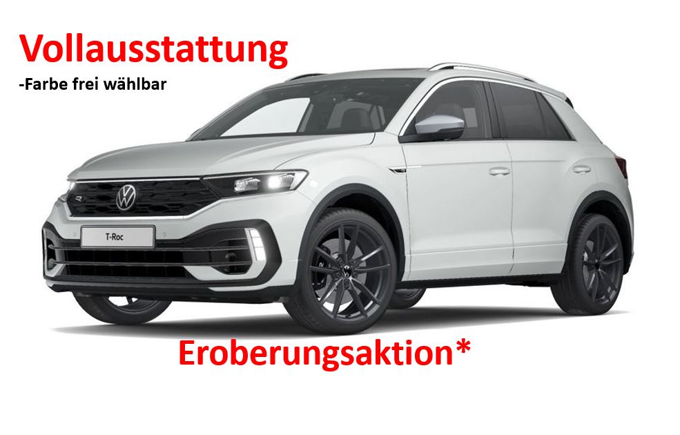 VW T-Roc 1.Generation  R 4MOTION DSG