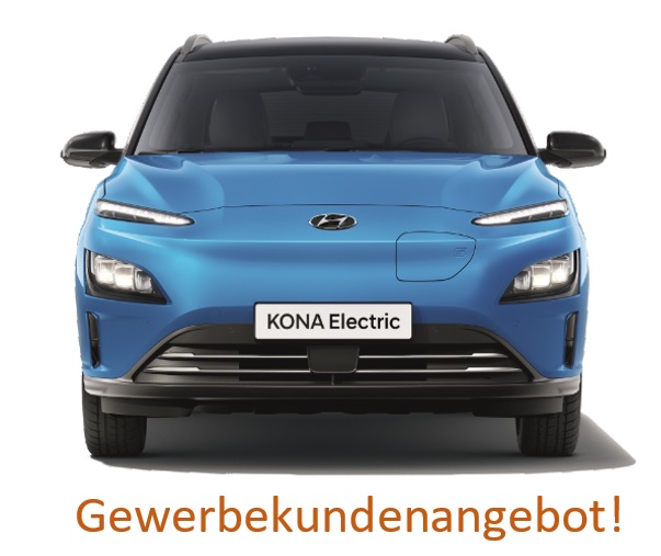 Hyundai Kona 1.Generation  Elektro (39,2 kWh) Select