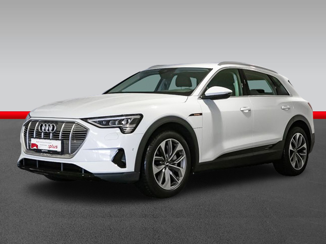 Audi e-tron 50 quattro Leder mit Umweltprämie image