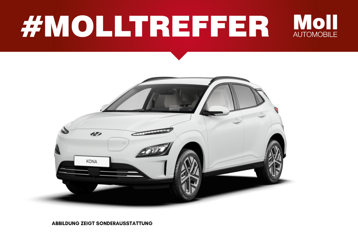 Hyundai Kona 1.Generation  Elektro (39,2 kWh) Trend