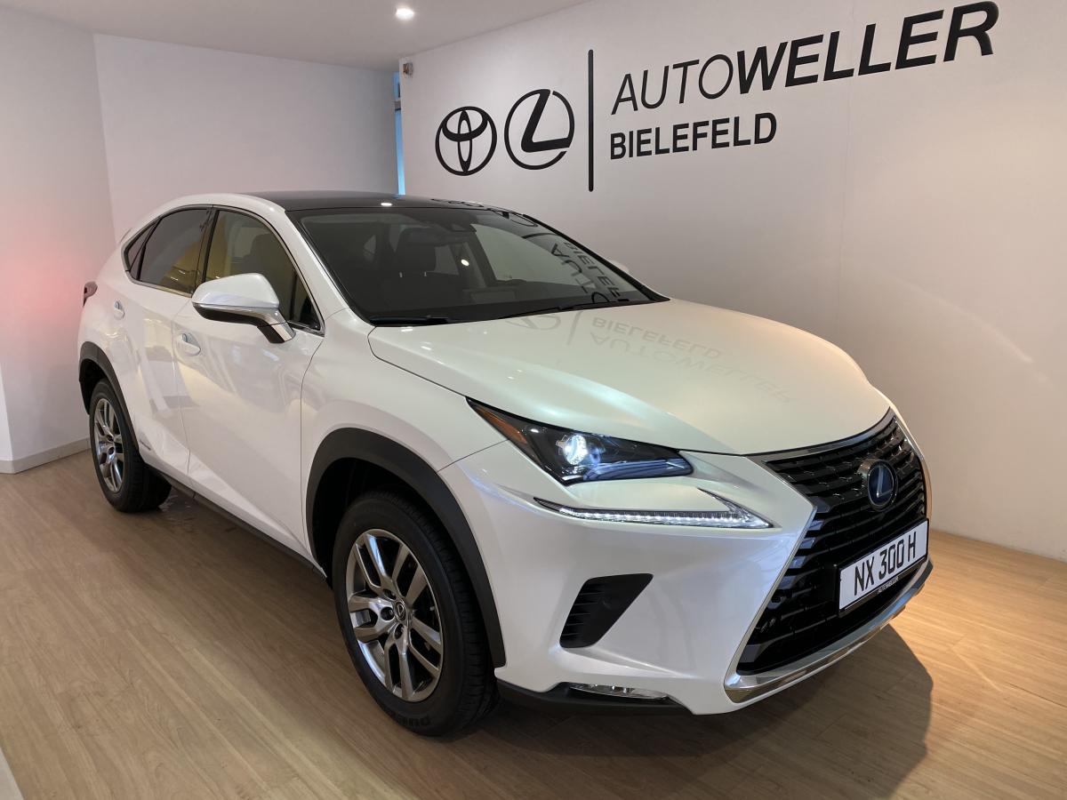Lexus NX AZ1  300h Launch Edition E-FOUR Automatik