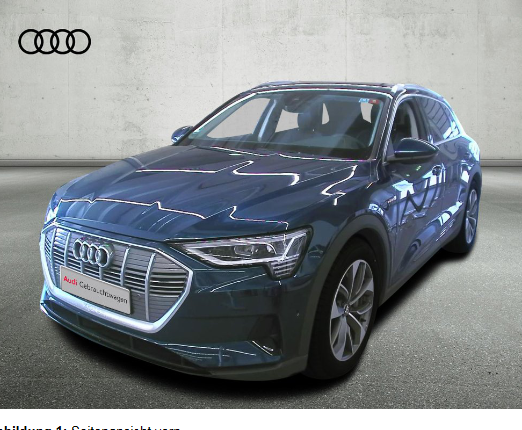 Audi e-tron 50 quattro basis mit Förderung image