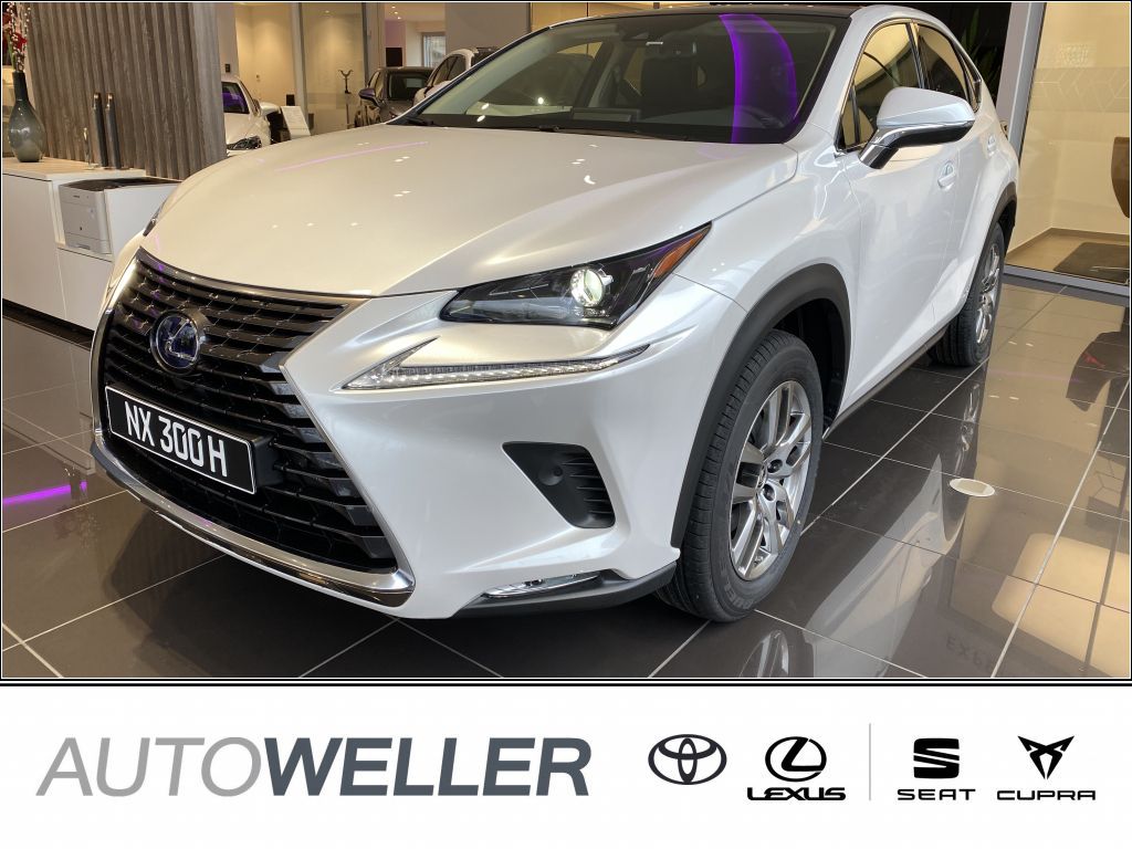 Lexus NX AZ1  300h Executive E-FOUR Automatik