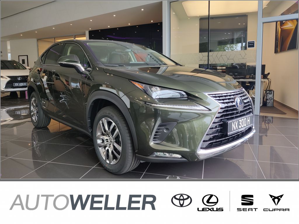 Lexus NX AZ1  300h Executive E-FOUR Automatik