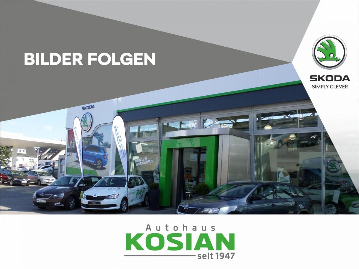 Skoda Octavia 4.Generation  Combi 1.4 TSI iV Style DSG