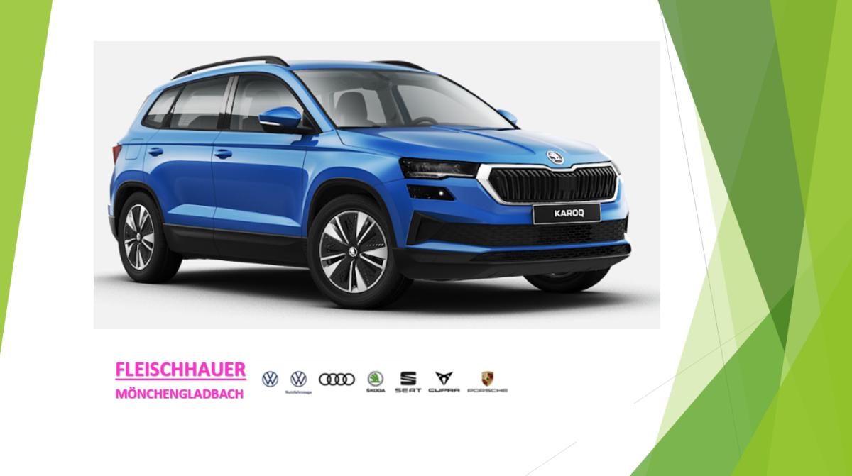 Skoda Karoq 1.Generation  2.0 TDI SCR Clever DSG
