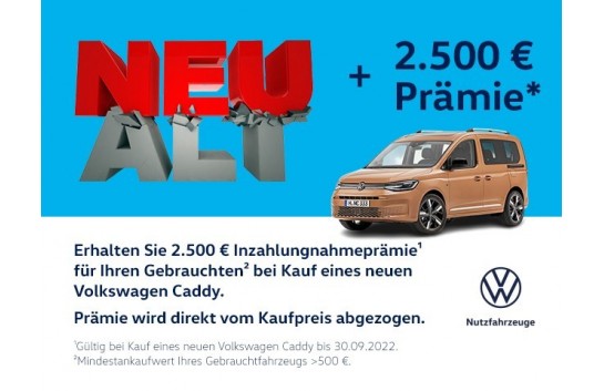 VW Caddy V  Cargo 2.0 TDI SCR PanAmericana