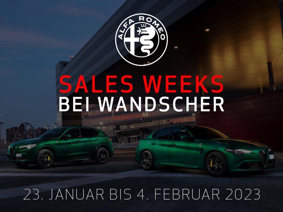 Alfa Romeo Stelvio MY23 Competizione Q4 ❗️Bestellaktion für Gewerbekunden❗️ image
