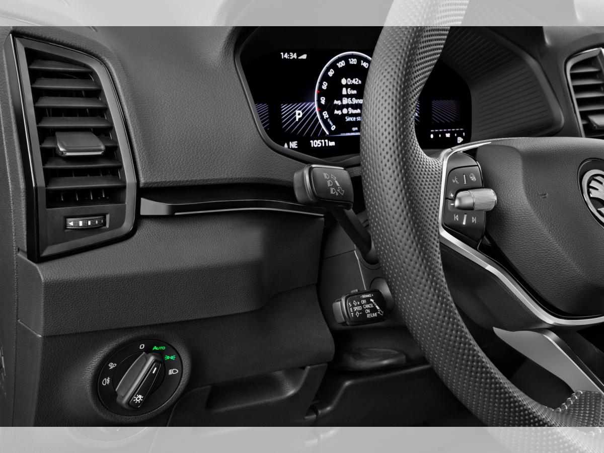 Skoda Karoq 1. Generation  2.0 TDI SCR Sportline 4x4 DSG