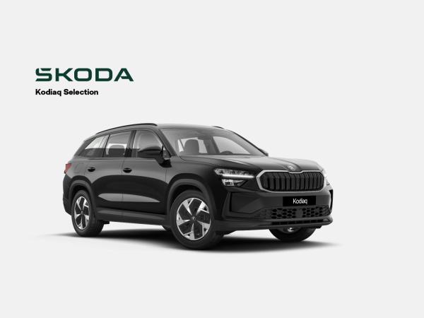 Skoda Kodiaq 1. Generation  2.0 TDI SCR Drive 125 4x4 DSG (7-Gang)