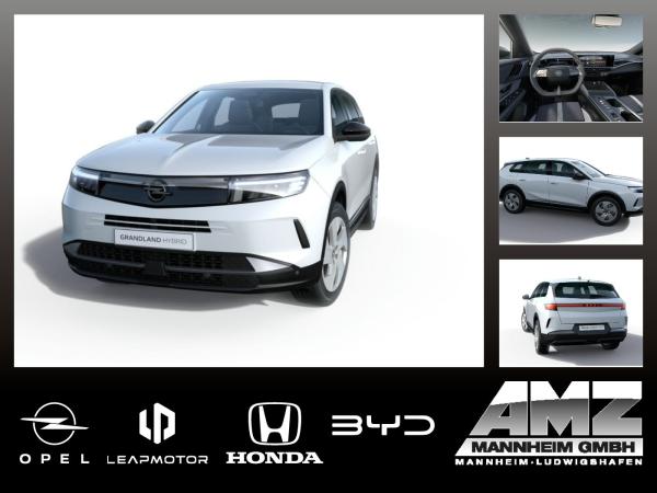 Opel Grandland Edition MHEV | Gewerbehammer | image