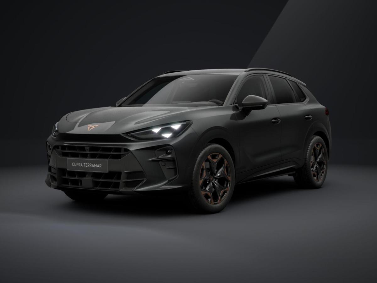 Cupra Terramar 2.0 TSI 150 kW (204 PS) 7-Gang DSG 4Drive image