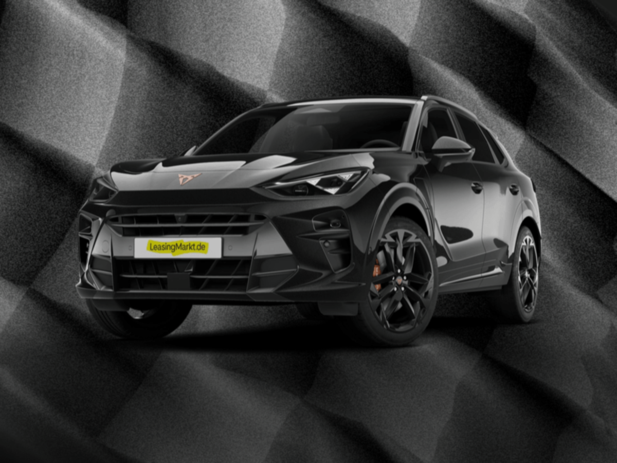 Cupra Terramar 2.0 TSI VZ 4Drive | inkl. Wartung & LRV | Gewerbe | Zulassung September 26 image