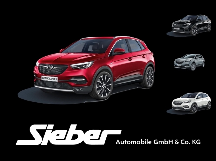 Opel Grandland X 1.Generation  1.2 DI Turbo Elegance