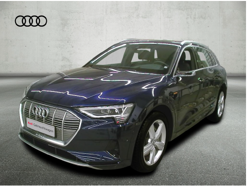 Audi e-tron advanced 55 quattro image