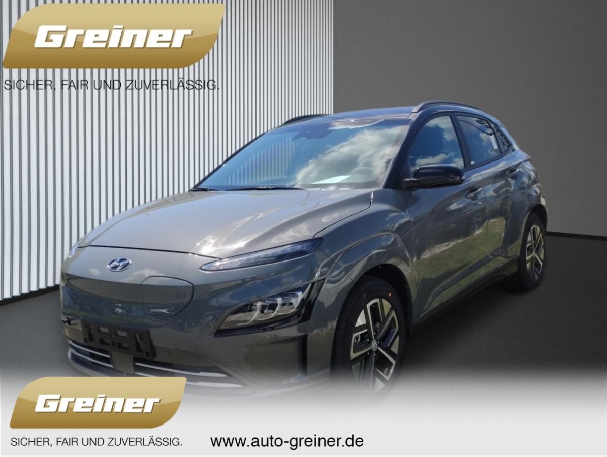 Hyundai Kona 1.Generation  Elektro (39,2 kWh) Trend