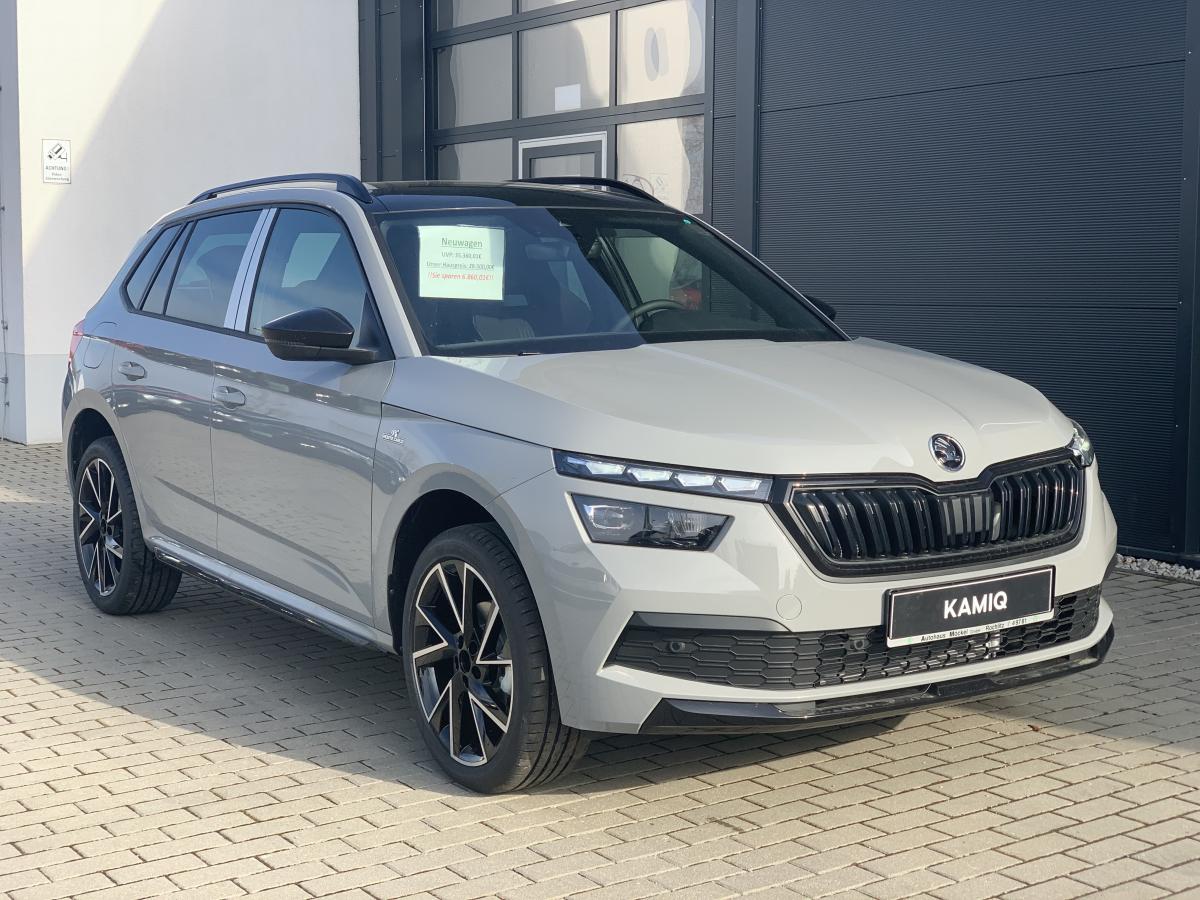 Skoda Kamiq 1.Generation  1.5 TSI ACT Clever DSG